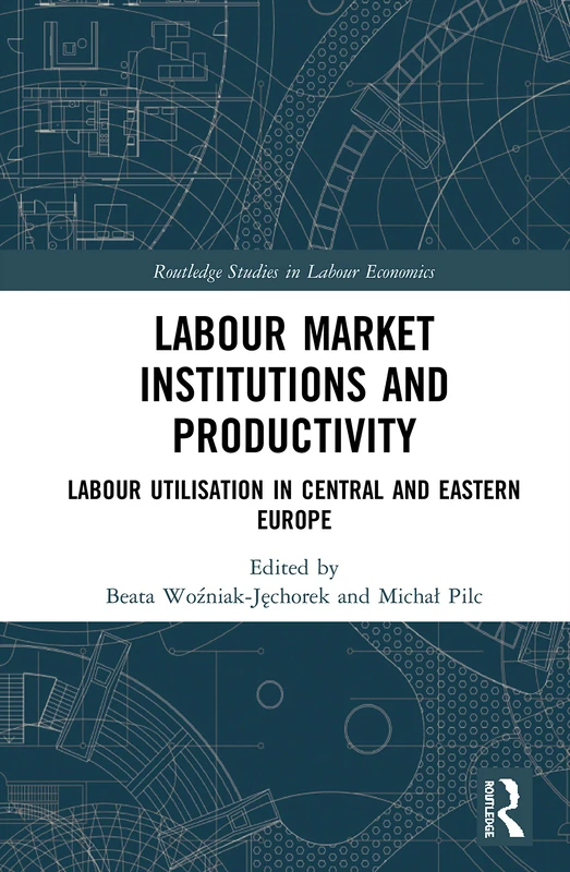 Routledge Labour Market Institutions and Productivity Book