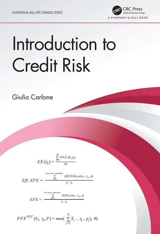 Introduction to Credit Risk (Chapman & Hall/CRC Finance Series)