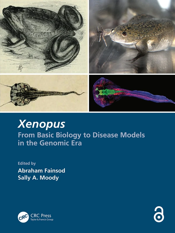 Xenopus: From Basic Biology to Disease Models in the Genomic Era - Image 1
