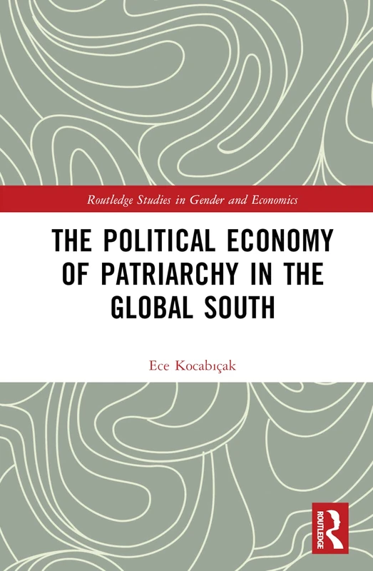 The Political Economy of Patriarchy in the Global South (Routledge Studies in Gender and Economics)