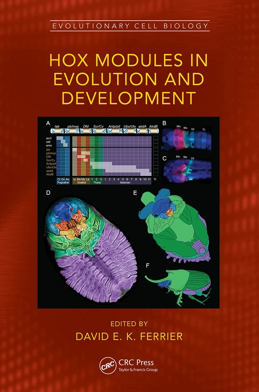 Hox Modules in Evolution and Development (Evolutionary Cell Biology)