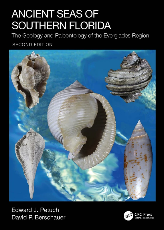 Ancient Seas of Southern Florida: The Geology and Paleontology of the Everglades Region - Image 1