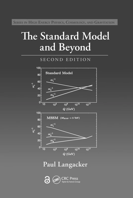 The Standard Model and Beyond (Series in High Energy Physics, Cosmology and Gravitation)