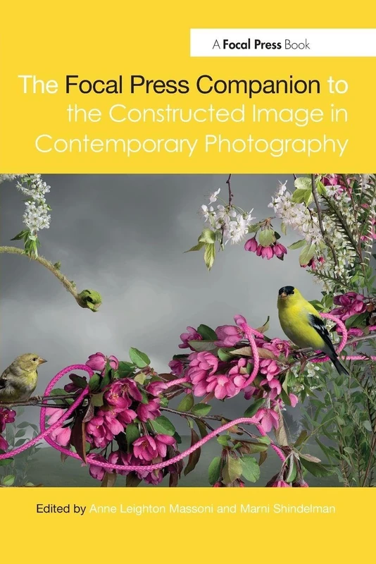 The Focal Press Companion to the Constructed Image in Contemporary Photography