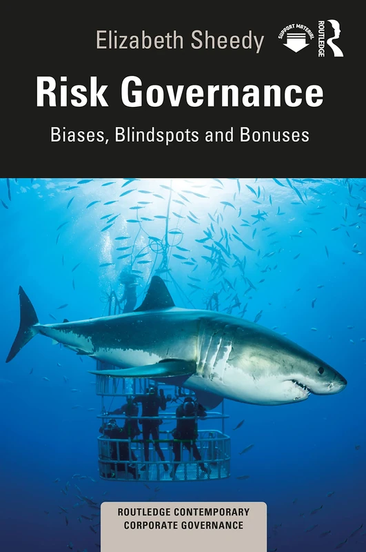 Risk Governance: Biases, Blind Spots and Bonuses (Routledge Contemporary Corporate Governance)