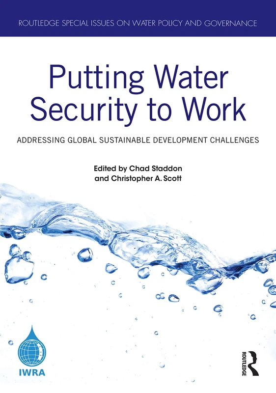 Putting Water Security to Work: Addressing Global Sustainable Development Challenges (Routledge Special Issues on Water Policy and Governance)