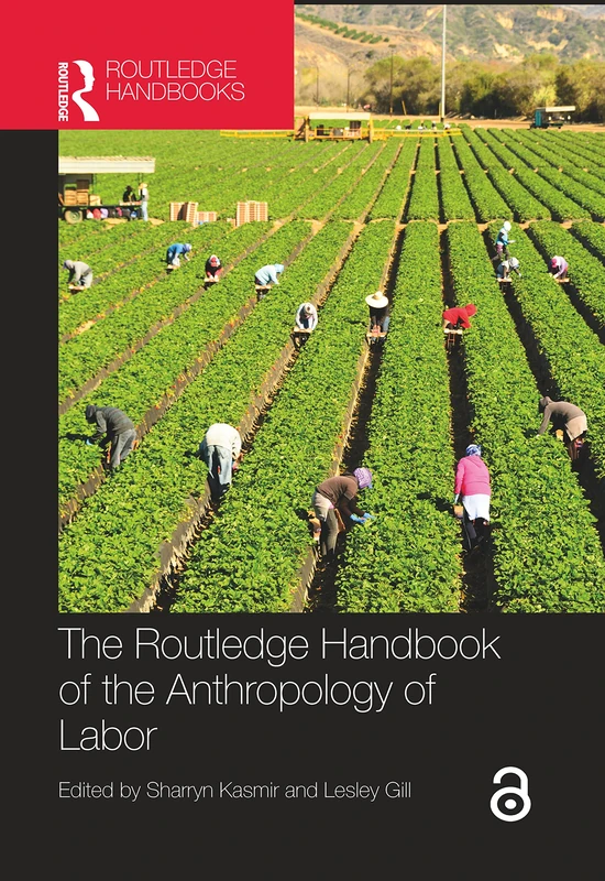 The Routledge Handbook of the Anthropology of Labor (Routledge Anthropology Handbooks)