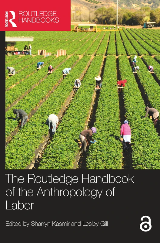 The Routledge Handbook of the Anthropology of Labor (Routledge Anthropology Handbooks)