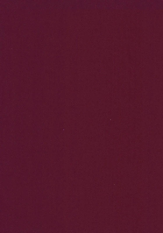 The Travel Journals of Mathilde, Contessa Sallier de La Tour into the Interior of Japan, 1867-1870, including Letters, Notes and Sketches