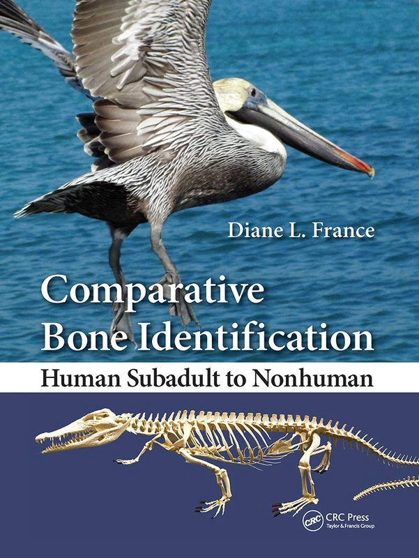 Comparative Bone Identification: Human Subadult to Nonhuman