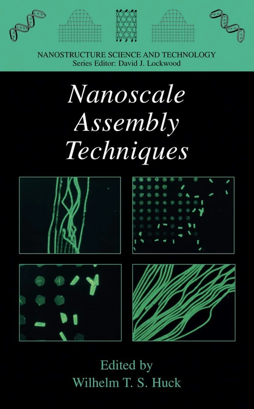 Nanoscale Assembly: Chemical Techniques (Nanostructure Science and Technology)