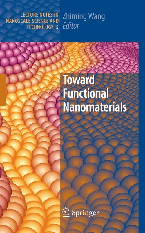 Toward Functional Nanomaterials: 5 (Lecture Notes in Nanoscale Science and Technology, 5)