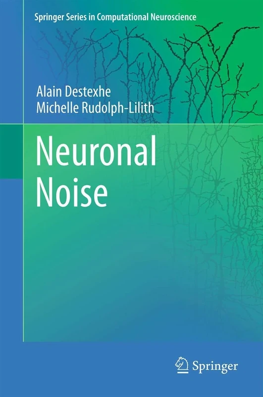 Neuronal Noise: 8 (Springer Series in Computational Neuroscience, 8)