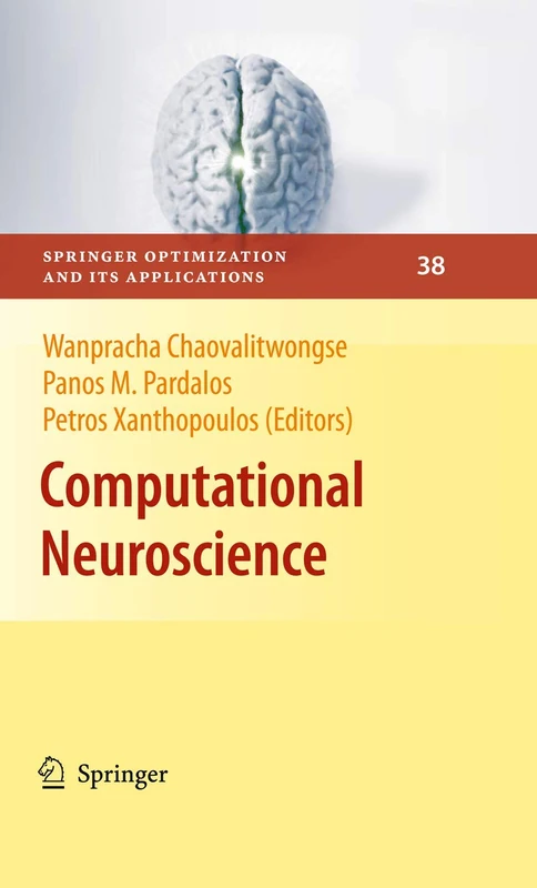 Computational Neuroscience: 38 (Springer Optimization and Its Applications, 38)