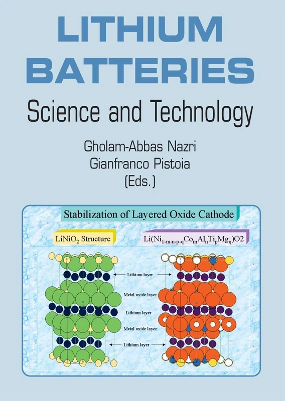 Lithium Batteries: Science and Technology