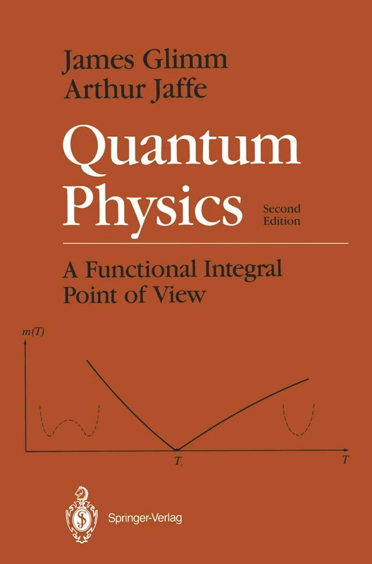 Springer Quantum Physics: A Functional Integral Point of View