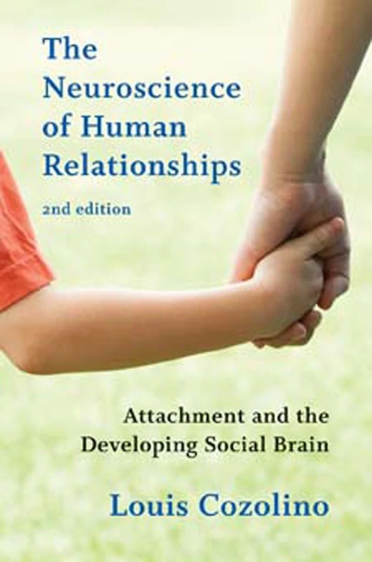 The Neuroscience of Human Relationships: Attachment and the Developing Social Brain: 0 (Norton Series on Interpersonal Neurobiology)