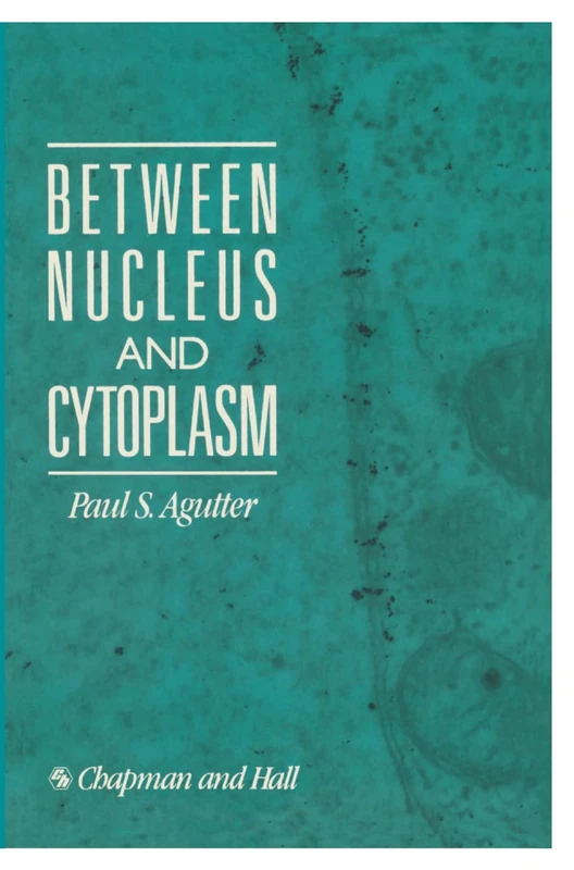 Between Nucleus and Cytoplasm - Image 1