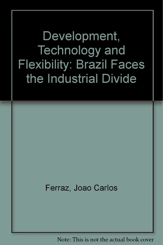 Development, Technology and Flexibility: Brazil Faces the Industrial Divide