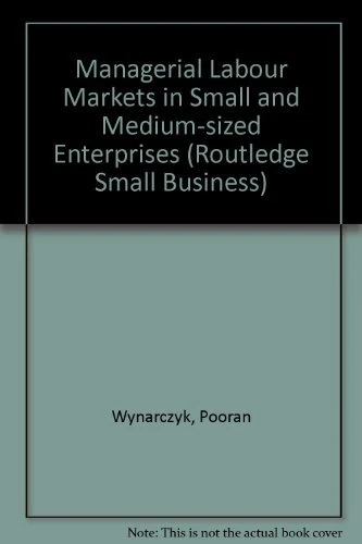 Managerial Labour Markets in Small and Medium-sized Enterprises (Routledge Small Business S.)