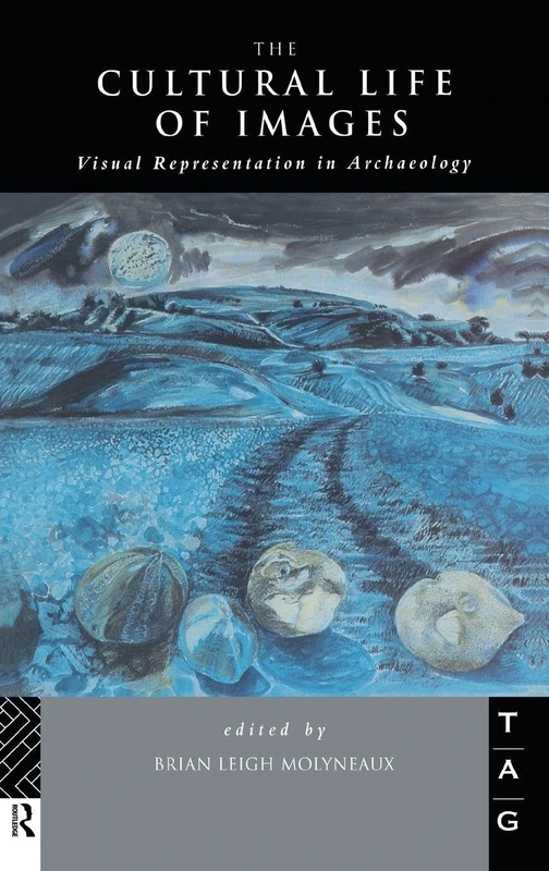 The Cultural Life of Images: Visual Representation in Archaeology (Thinking the Political)