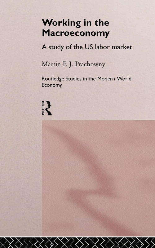 Working in the Macro Economy: A study of the US Labor Market (Routledge Studies in the Modern World Economy)