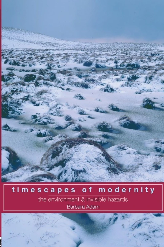 Timescapes of Modernity: The Environment and Invisible Hazards (Global Environmental Change) - Image 1