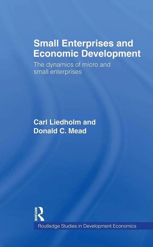 Small Enterprises and Economic Development: The Dynamics of Micro and Small Enterprises: 15 (Routledge Studies in Development Economics)