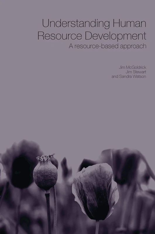 Understanding Human Resource Development: A Research-based Approach (Routledge Studies in Human Resource Development)