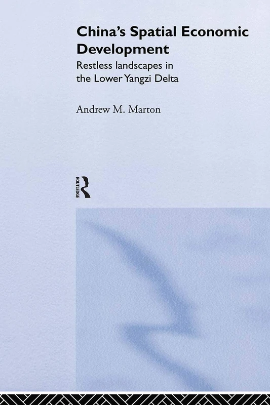 China's Spatial Economic Development: Regional Transformation in the Lower Yangzi Delta (Routledge Studies on China in Transition)