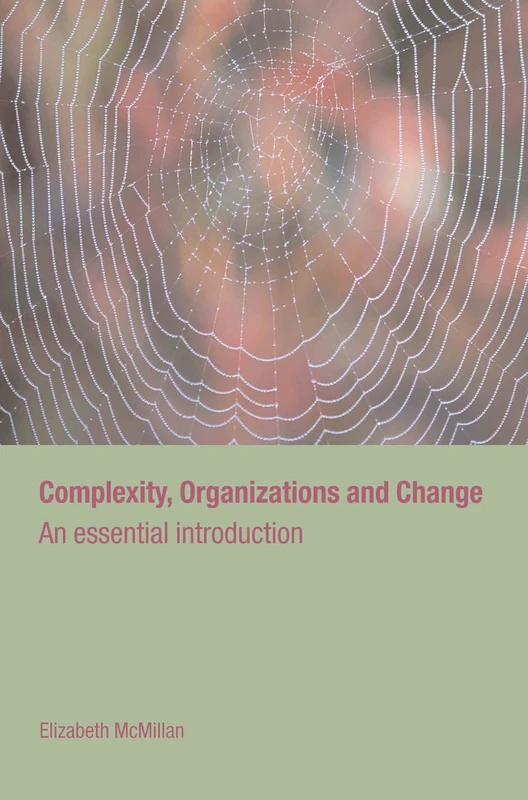 Complexity, Organizations and Change: An Essential Introduction: 1 (Routledge Studies in Complexity and Management)
