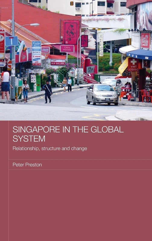 Singapore in the Global System: Relationship, Structure and Change: 16 (Routledge Contemporary Southeast Asia Series)