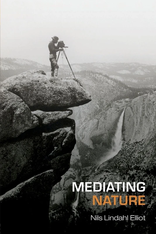 Mediating Nature: Environmentalism and Modern Culture (International Library of Sociology (Paperback))