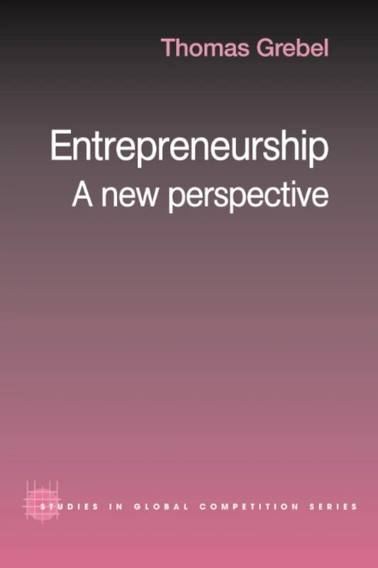 Entrepreneurship: A New Perspective: 22 (Routledge Studies in Global Competition)