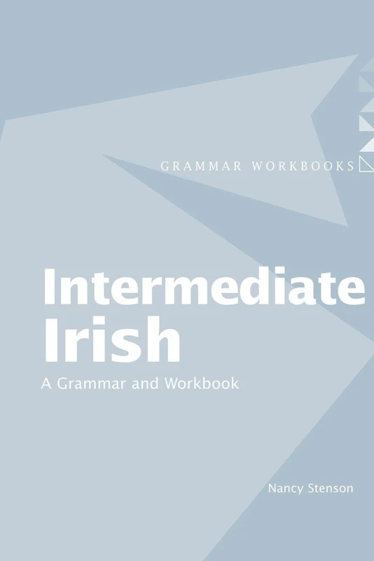 Intermediate Irish: A Grammar and Workbook (Routledge Grammar Workbooks)