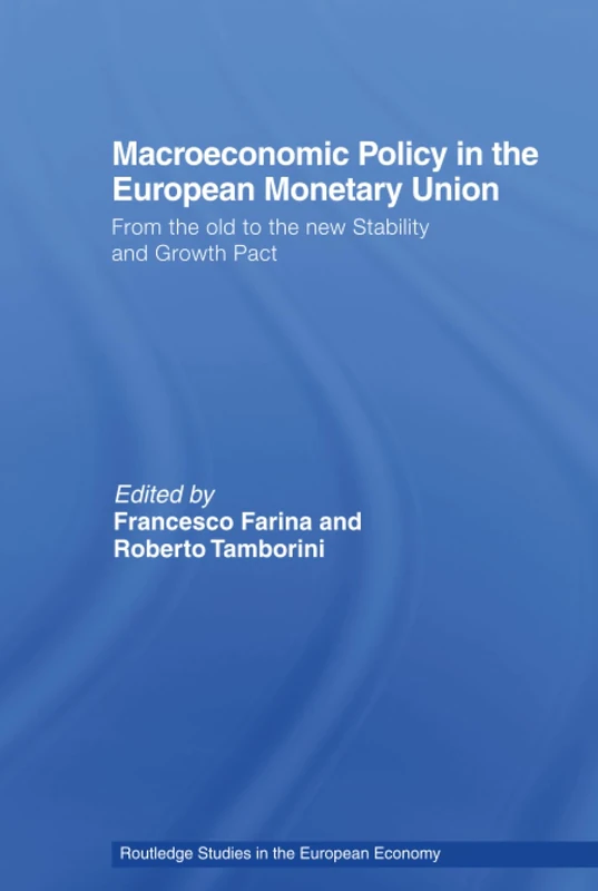 Macroeconomic Policy in the European Monetary Union: From the Old to the New Stability and Growth Pact (Routledge Studies in the European Economy)