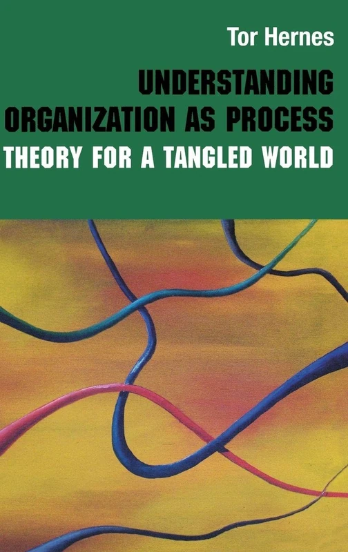 Routledge Understanding Organization as Process Book