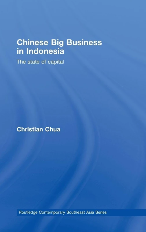 Routledge Chinese Big Business in Indonesia - State of Capital 17