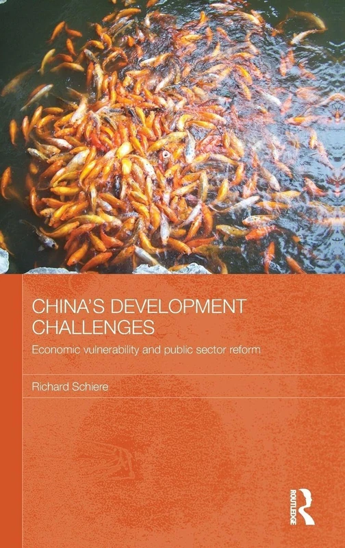 Routledge China's Development Challenges - Economic Policy Book
