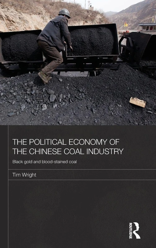 The Political Economy of the Chinese Coal Industry: Black Gold and Blood-Stained Coal: 45 (Routledge Studies on the Chinese Economy)