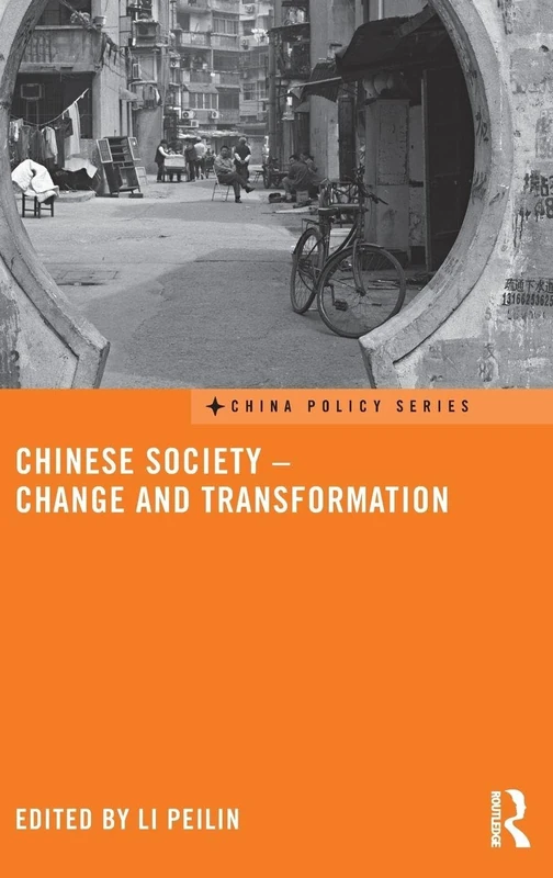 Chinese Society - Change and Transformation: 25 (China Policy Series)