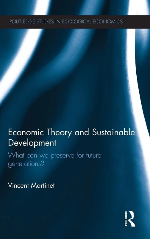 Economic Theory and Sustainable Development: What Can We Preserve for Future Generations?: 19 (Routledge Studies in Ecological Economics) - Image 1