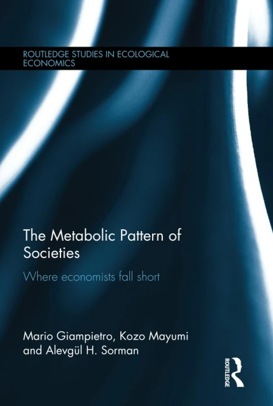 The Metabolic Pattern of Societies: Where Economists Fall Short: 15 (Routledge Studies in Ecological Economics)
