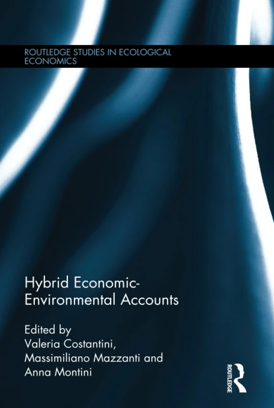 Hybrid Economic-Environmental Accounts: 17 (Routledge Studies in Ecological Economics)