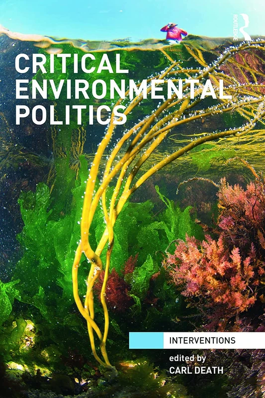 Critical Environmental Politics (Interventions)