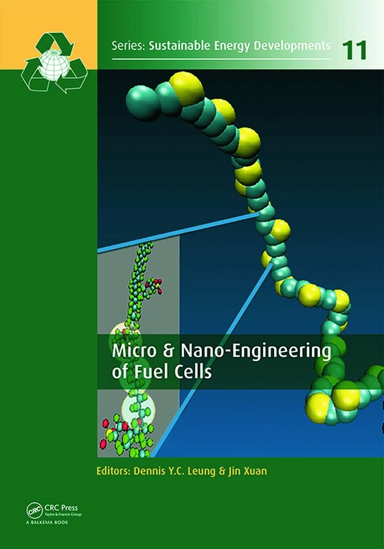 Micro & Nano-Engineering of Fuel Cells (Sustainable Energy Developments)