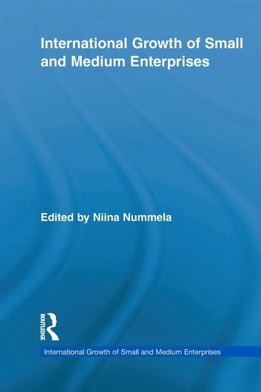 International Growth of Small and Medium Enterprises (Routledge Studies in International Business and the World Economy)