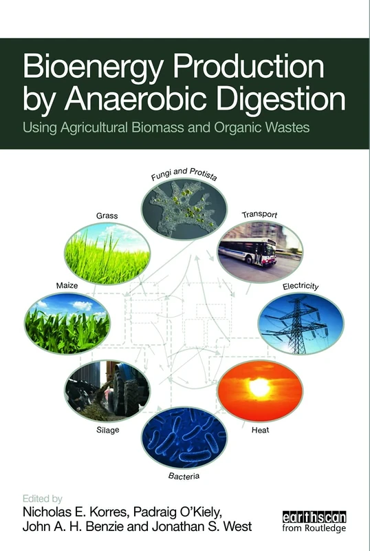 Bioenergy Production by Anaerobic Digestion: Using Agricultural Biomass and Organic Wastes (Routledge Studies in Bioenergy)