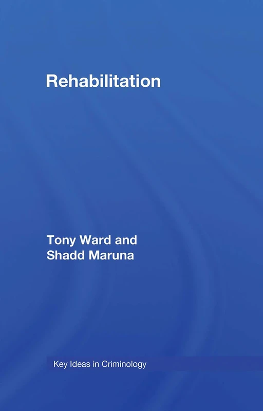 Routledge Rehabilitation: Beyond the Risk Paradigm Book