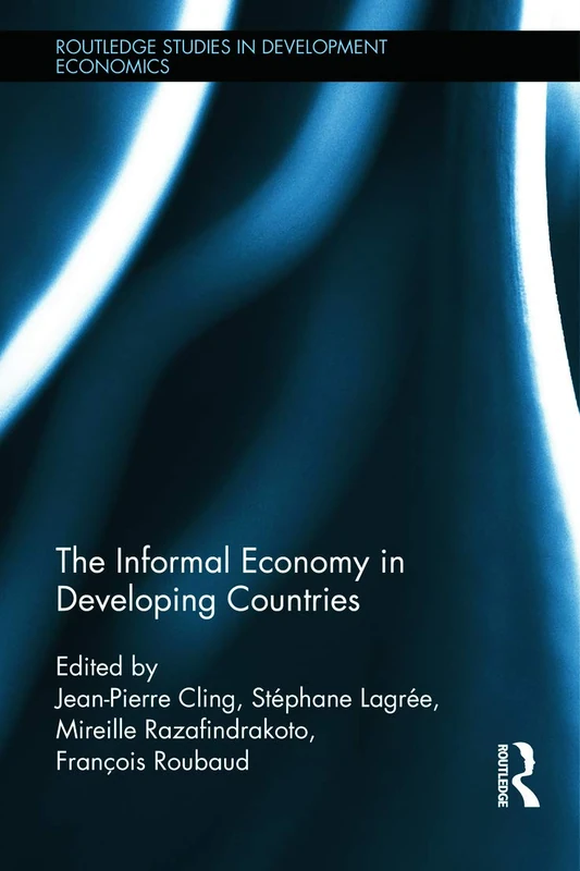 Routledge The Informal Economy in Developing Countries Book